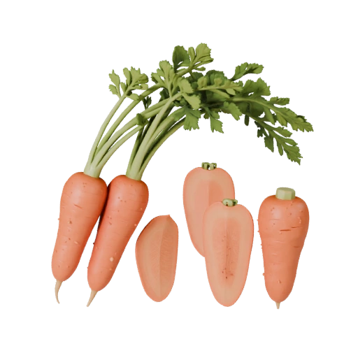 Product Chopped Carrot Bunch 3D Studio Render Asset