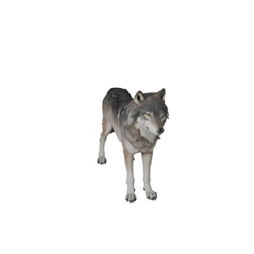 Modèle 3D de Loup Gris Haute Poly - Atout STL Détaillé pour Impression