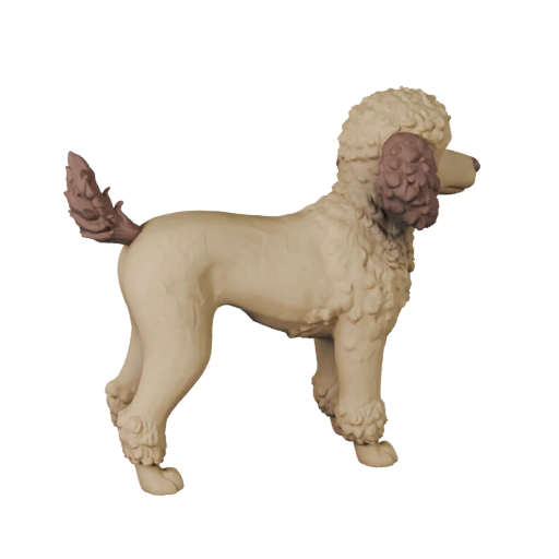 Modèle 3D Caniche Haute Poly - Actif STL Détaillé pour Impression
