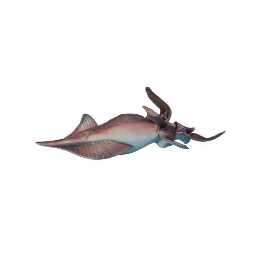 Squid 3D Model for Unity - Game Ready Asset, FBX | Royalty-Free