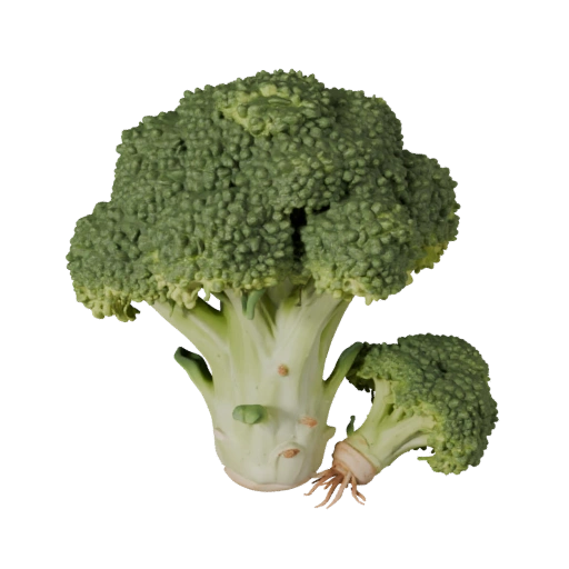 Modèle 3D de Tête de Brocoli du Marché, Rendu Studio