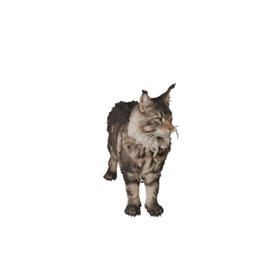 Maine Coon 3D Modell für Unity - Spielfertiges Asset, FBX | Lizenzfrei