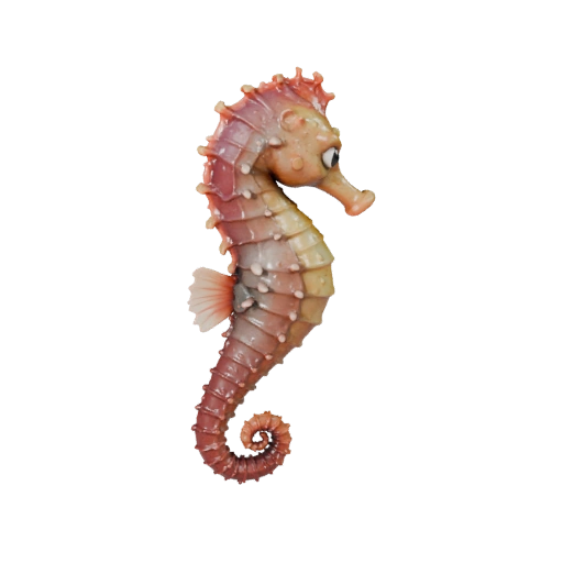 Cartoon Seahorse 3D Model - Stylized Asset for Animation | PBR