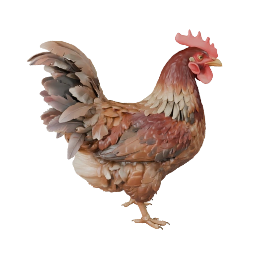 Modèle 3D de Poulet pour Blender - Asset PBR avec Textures | PBR