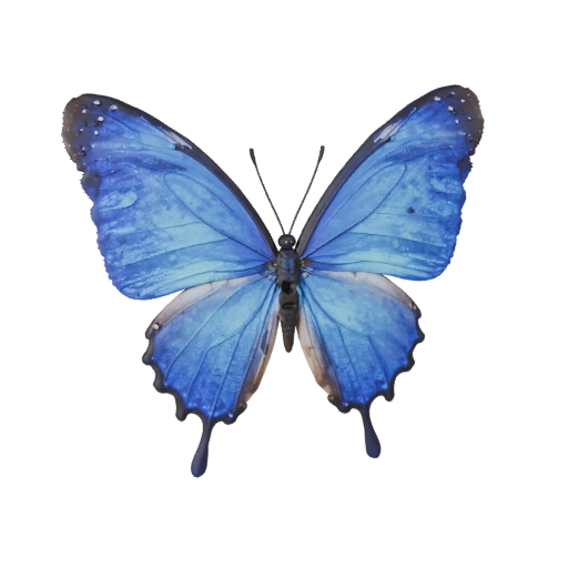 Modello 3D Farfalla Morpho Blu per Blender - Asset PBR con Texture