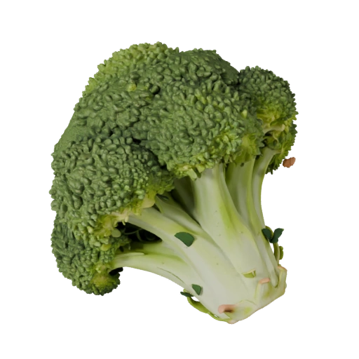 Tête de brocoli coupée, actif 3D pour moteur de jeu