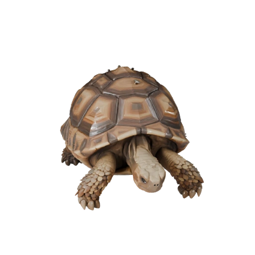 Low Poly Wüstenschildkröte 3D-Modell - Unity Game Asset mit FBX