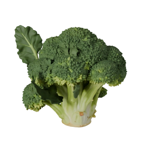 Tête de brocoli coupée, actif cinématographique 3D pour studio