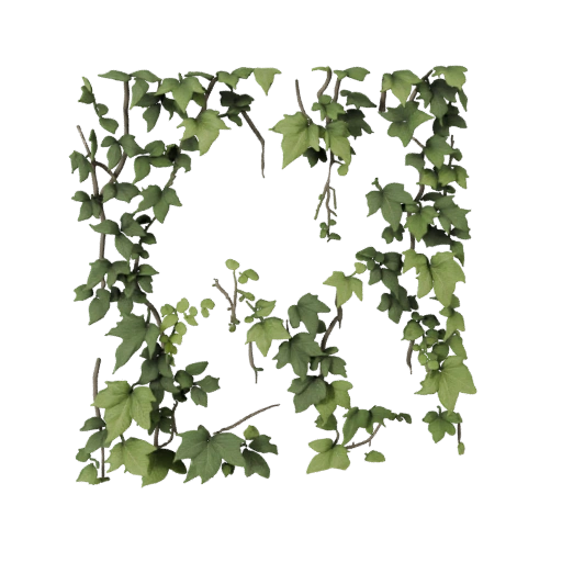 High Poly Ivy Covered Wall Vegetation 3D for VFX Close-Ups