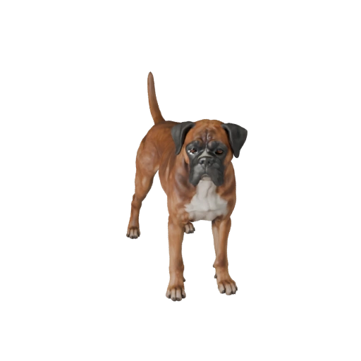 Realistischer Boxer Hund 3D-Modell - Rigged PBR Asset für Spiele | PBR