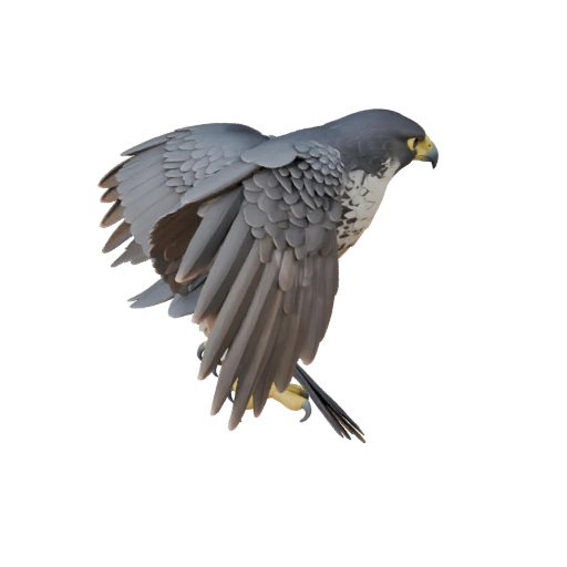 Hohes Poly Wanderfalke 3D-Modell - STL-Asset zum Drucken