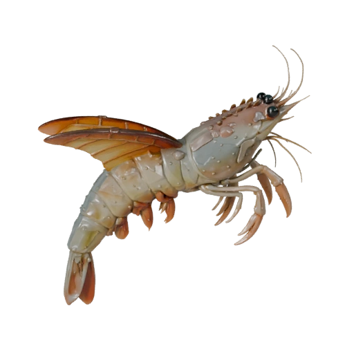 Cartoon Shrimp 3D Model - Stylized Asset for Animation | PBR