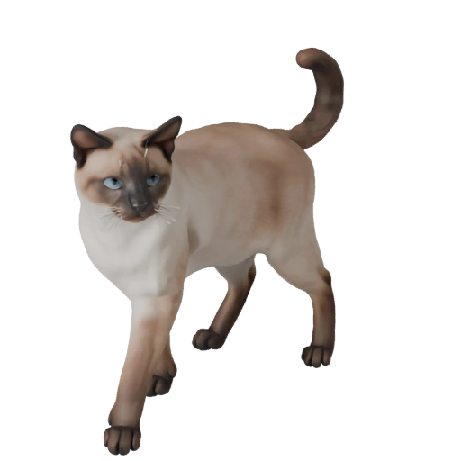 Birmanische Katze 3D-Modell für Unity - Spielfertiges Asset, FBX | Lizenzfrei