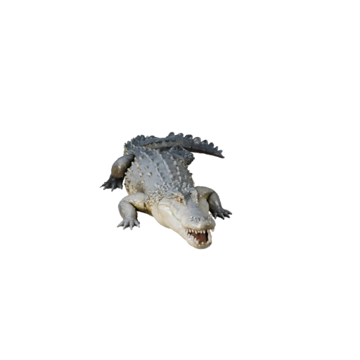 Modèle 3D de Crocodile pour Unity - Asset prêt pour le jeu, FBX | Libre de droits