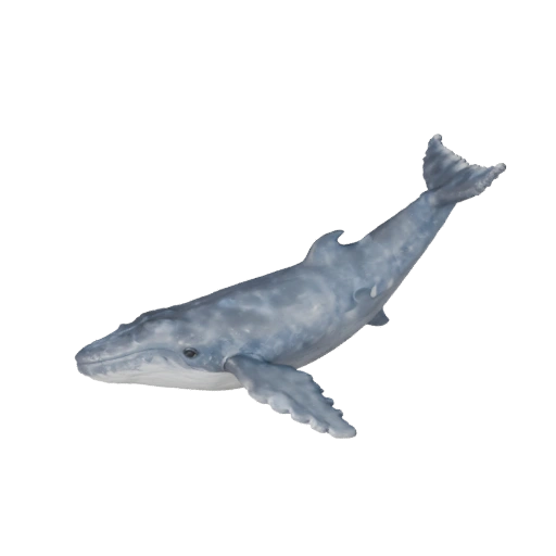 Realistic Blue Whale 3D Model - Rigged PBR Asset for Games