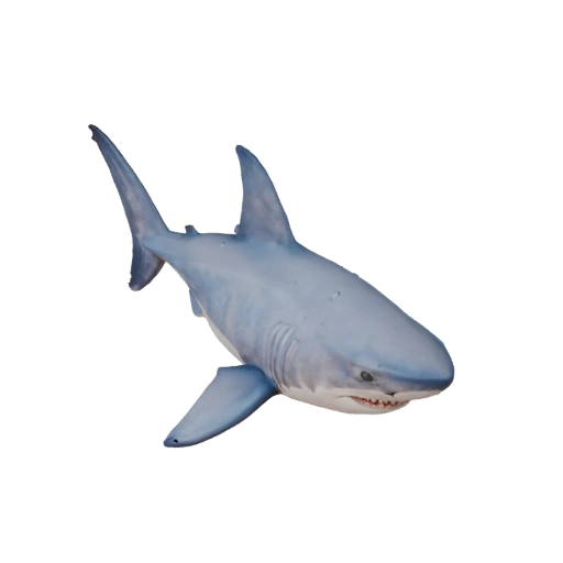 Cartoon Great White Shark 3D Model - Stylized Asset for Animation