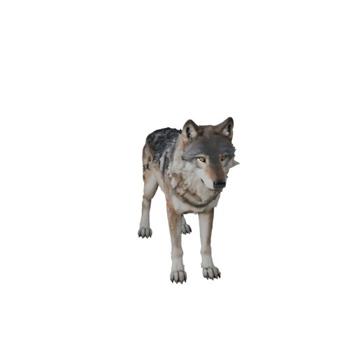 Modello 3D Lupo Grigio per Unity - Asset Pronto per il Gioco, FBX | Royalty-Free