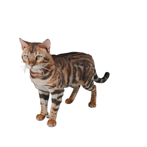 Modello 3D Gatto Bengala Realistico - Asset PBR Rigged per Giochi