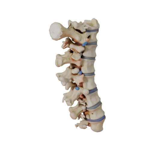 Colonna Stile Colonna Vertebrale Asset 3D per Livelli Casual