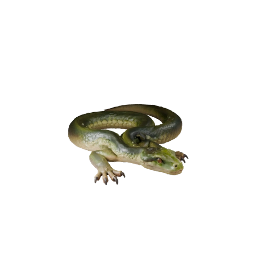 Modèle 3D d'Anaconda Vert pour Blender - Asset PBR avec Textures