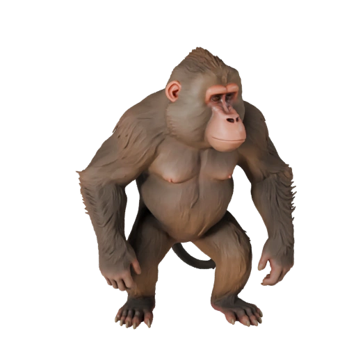 Realistischer Pavian 3D-Modell - Rigged PBR Asset für Spiele | PBR