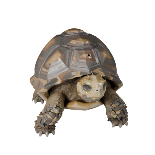 Modèle 3D de Tortue Low Poly - Asset Unity avec FBX | PBR