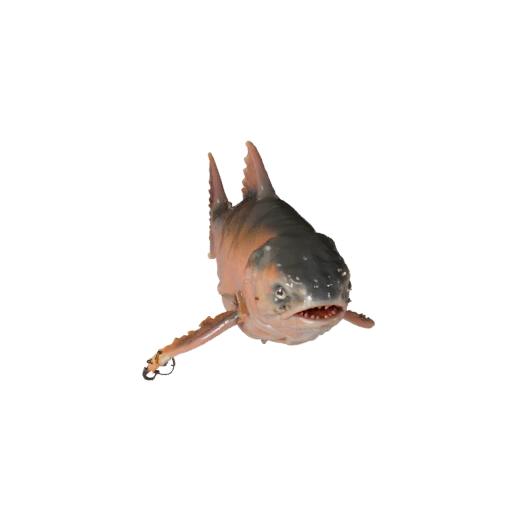 Modelo 3D de Salmão Realista - Asset PBR Rigged para Jogos | PBR