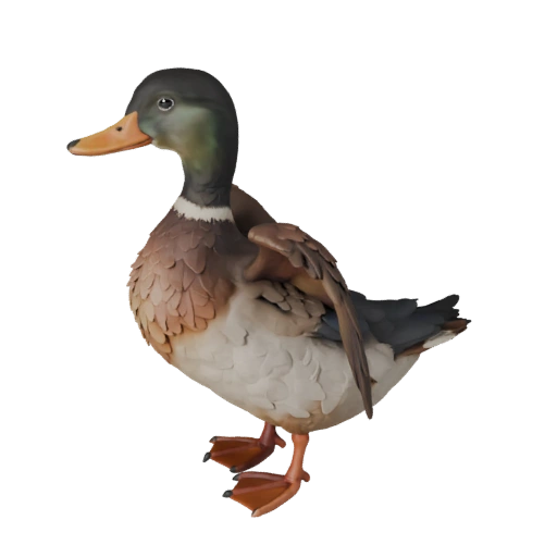 Modèle 3D de Canard pour Blender - Asset PBR avec Textures | Libre de Droits