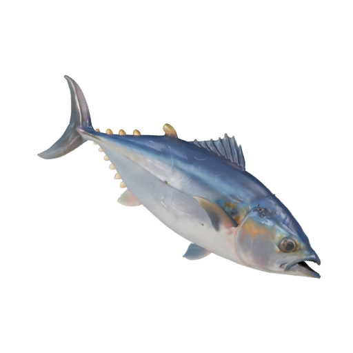 Modello 3D di Tonno Realistico - Asset PBR Rigged per Giochi | Royalty-Free