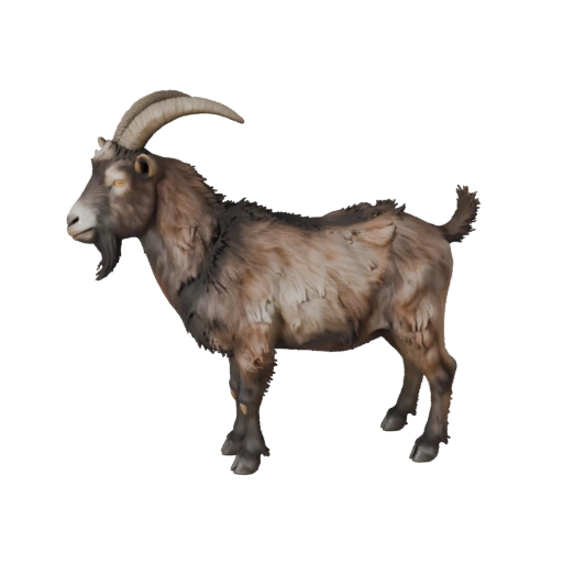 Realistische Ziege 3D-Modell - Rigged PBR Asset für Spiele | Lizenzfrei