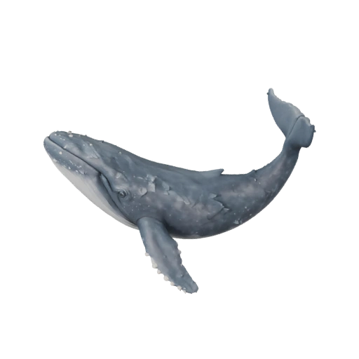 Modelo 3D de Ballena Azul para Blender - Recurso PBR con Texturas | PBR