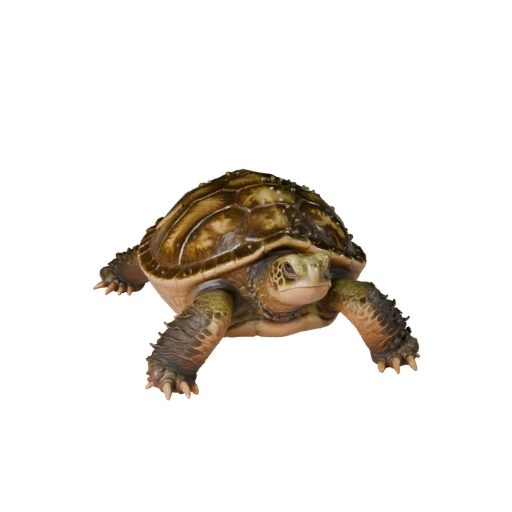 Tortuga Mordedora Realista Modelo 3D - Activo PBR Rigged para Juegos