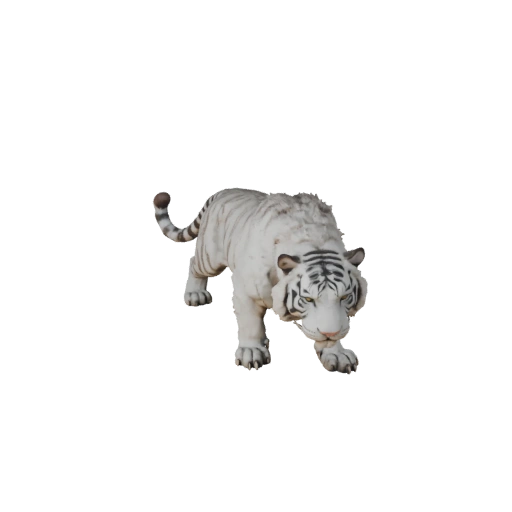 Tigre Bianca 3D Model per Unity - Asset Pronto per il Gioco, FBX | PBR