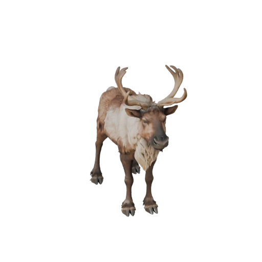 نموذج Caribou واقعي ثلاثي الأبعاد - أصل PBR مجهز للألعاب | PBR