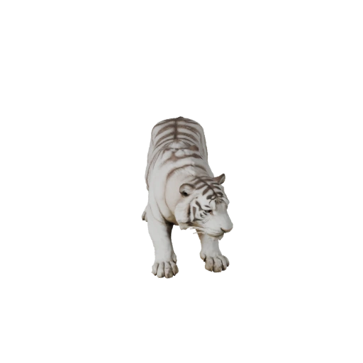 Modello 3D Tigre Bianca Realistica - Asset PBR Rigged per Giochi