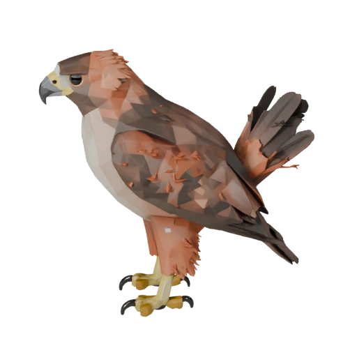 Pájaro Halcón de Cola Roja Poligonal Bajo 3D - Activo de Juego Unity con FBX