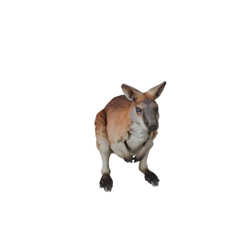 Wallaby Realista Modelo 3D - Activo PBR Riggeado para Juegos | PBR