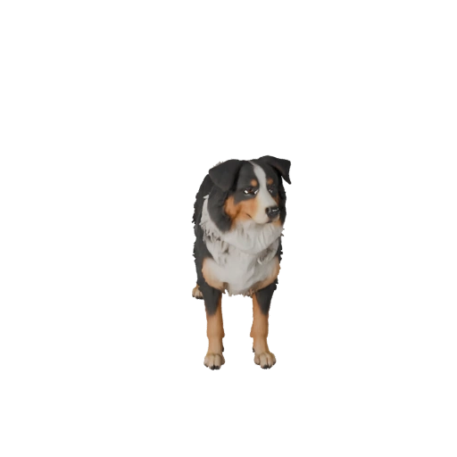 Modello 3D Pastore Australiano per Unity - Asset Pronto per il Gioco, FBX