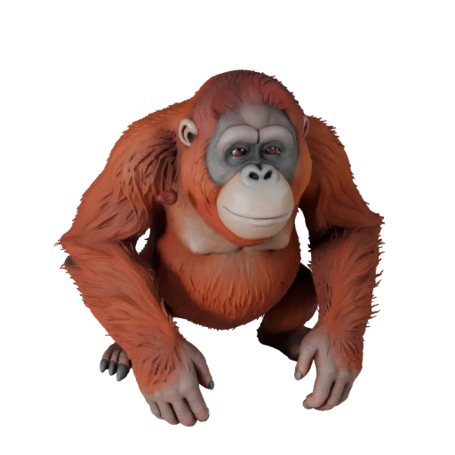 Modelo 3D de Orangotango para Blender - Asset PBR com Texturas | PBR