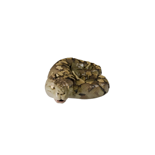 Reticulated Python 3D Model for Unity - Game Ready Asset, FBX