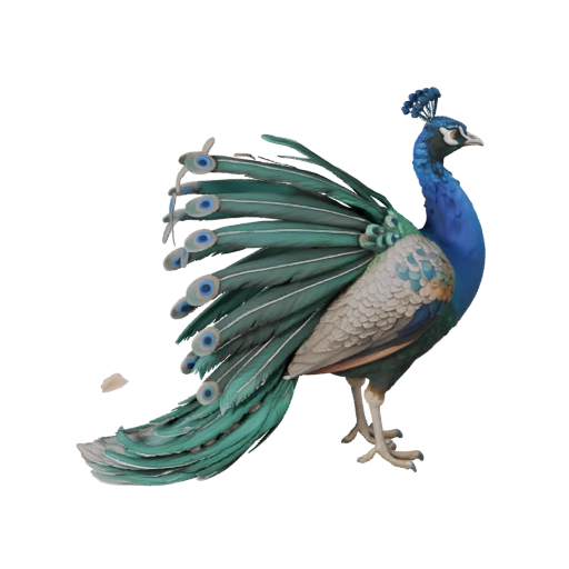 Modelo 3D de Pavão para Unity - Asset Pronto para Jogo, FBX | Livre de Royalties