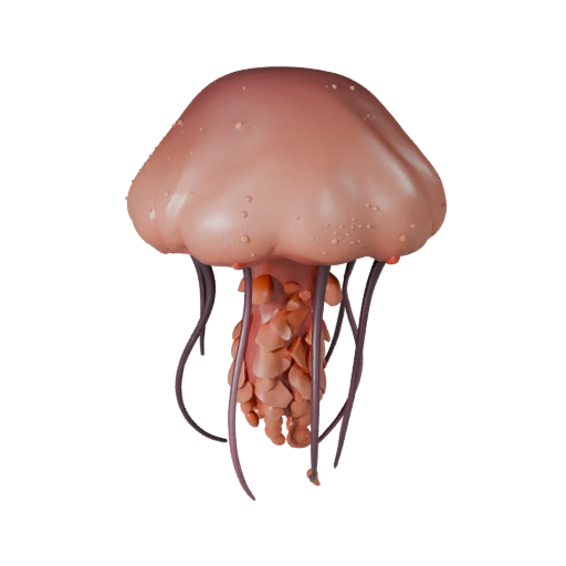 Modello 3D Medusa Cartone Animato - Asset Stilizzato per Animazione | PBR
