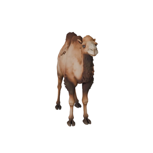 Modèle 3D de Chameau Réaliste - Asset PBR Riggué pour Jeux | Libre de Droits