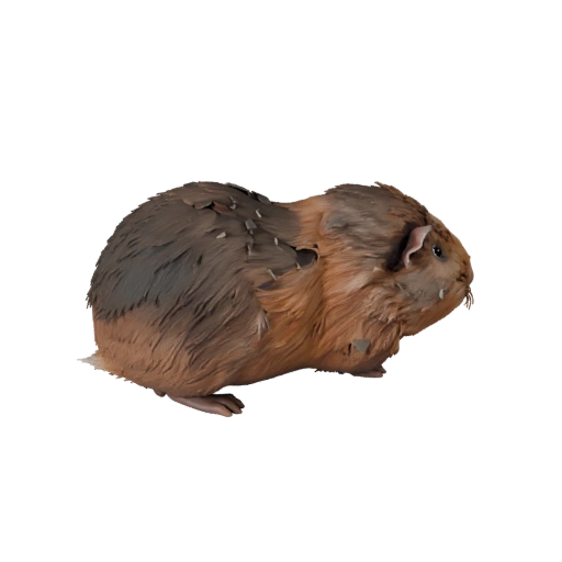 Meerschweinchen 3D-Modell für Blender - PBR-Asset mit Texturen | PBR