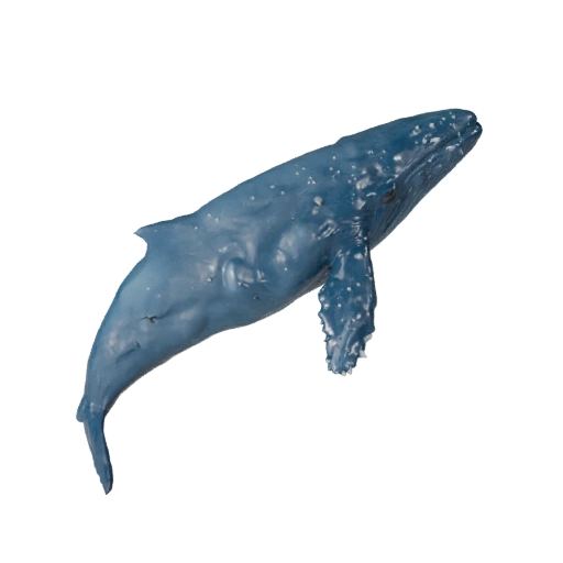 Modelo 3D de Baleia Beluga para Unity - Asset Pronto para Jogo, FBX | PBR