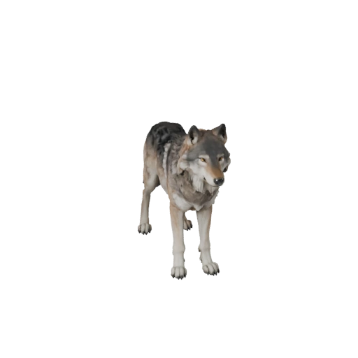 Wolf 3D Modell für Blender - PBR Asset mit Texturen | Lizenzfrei