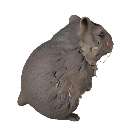 Modèle 3D Chinchilla Low Poly - Asset de Jeu Unity avec FBX | PBR
