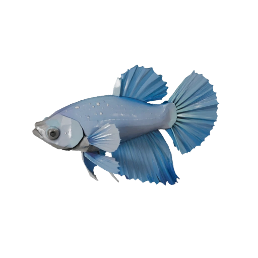 Modèle 3D Low Poly Poisson Combattant - Asset Unity avec FBX | PBR