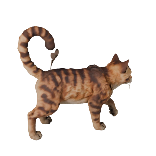 Ragamuffin Cat 3D Model for Blender - PBR Asset with Textures