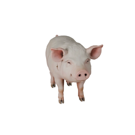 Realistisches Schwein 3D-Modell - Rigged PBR-Asset für Spiele | Lizenzfrei